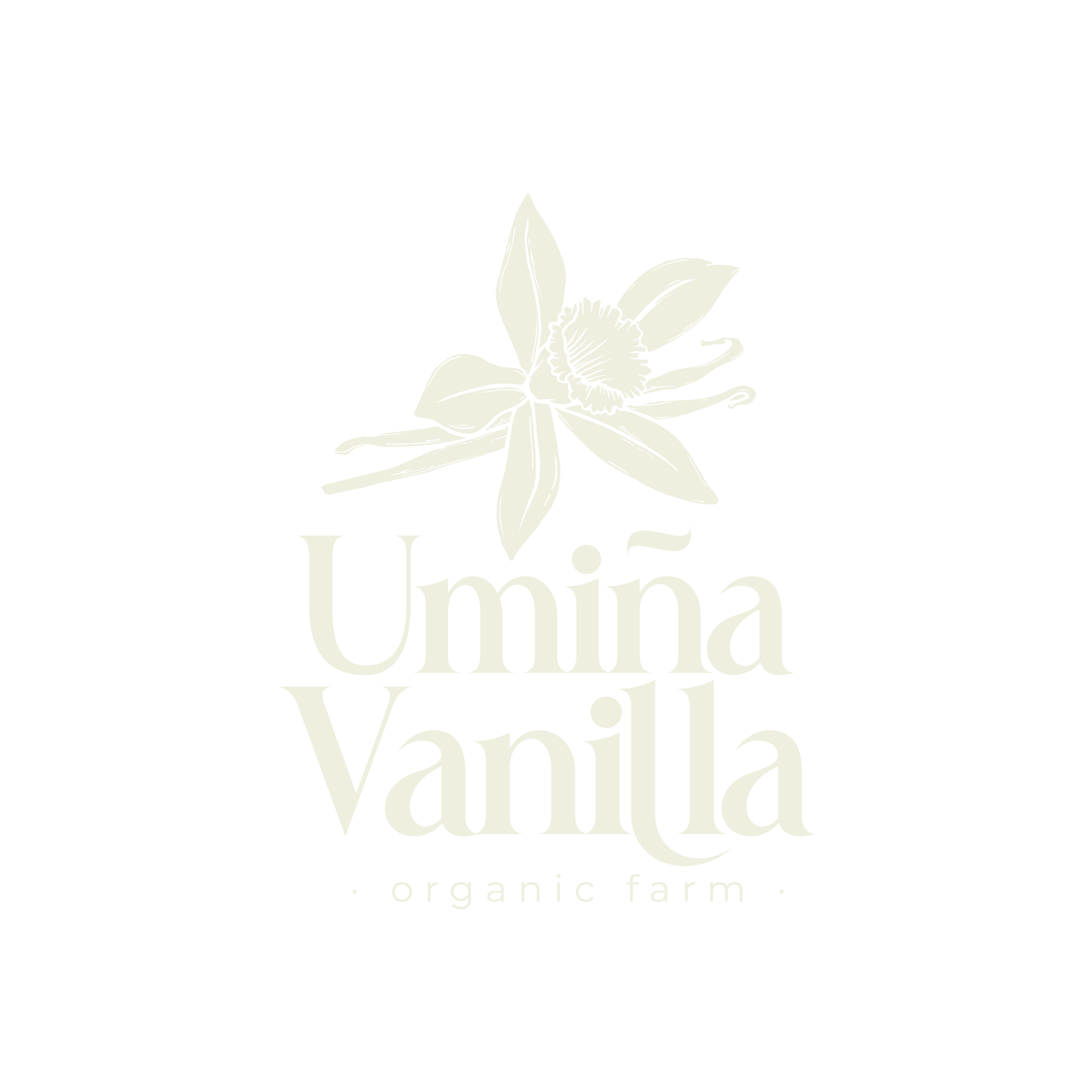 Umiña Vanilla Logo